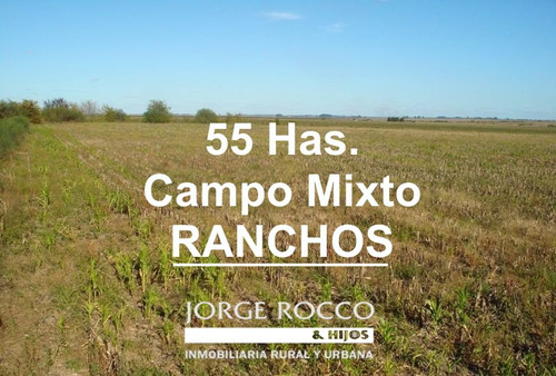 Campo En Venta En Ranchos. 55 Has Mixto 