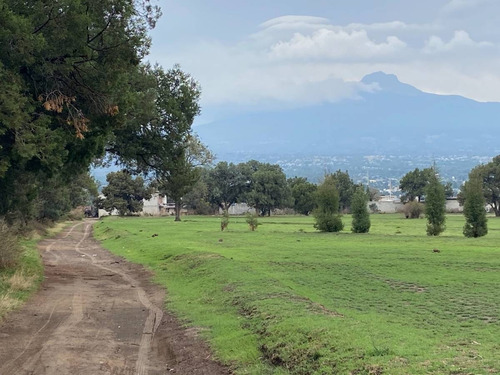 Imagen 2 de 6 de Terreno Con Potencial Comercial, Sólo Metros A La Carretera Apizaco-santa Cruz!!