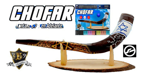 Chofar Kontakt
