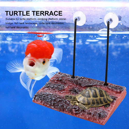 Plataforma Elevadora De Tortugas Al Aire Libre Con Recinto P