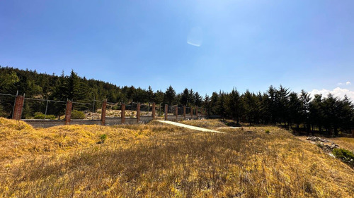 Terreno En Zinacantepec De 8,500mts Para Desarrolladores O Rancho