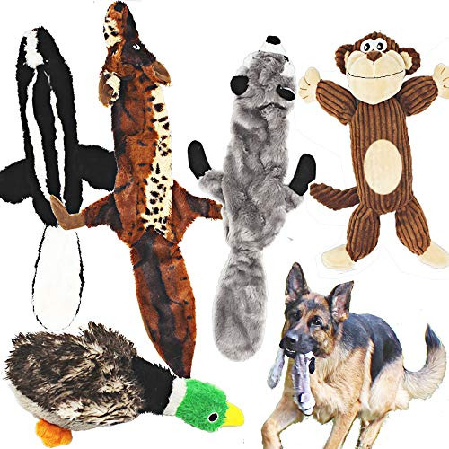 Jalousie 5 Pack Dog Squeaky Juguetes Tres No Stuffing Jgj6b