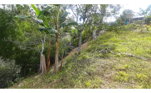 Se Vende Finca Vda La Julia Montenegro Quindío