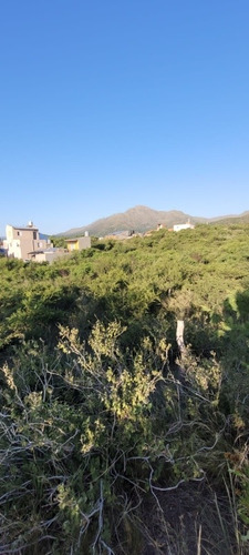 Imagen 8 de 14 de Terreno En Barrio Las Gemelas Límite Valenti