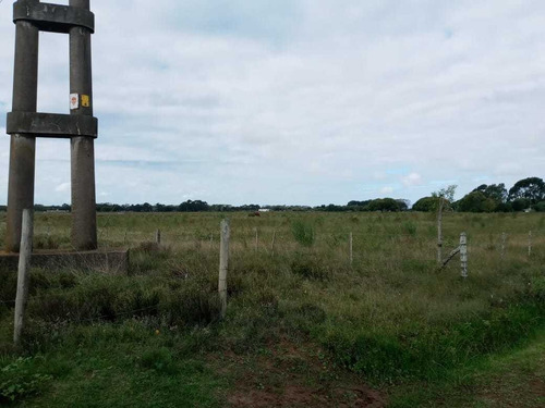 Imagen 13 de 13 de Paraje Pavon Fraccion De 11500 M2