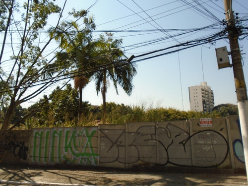Imagem 4 de 12 de Terreno - 471022 - 69953291