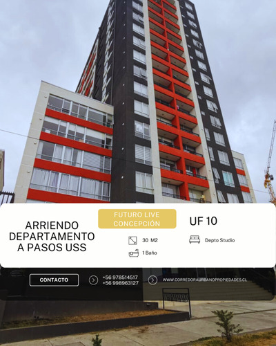 Departamento En Arriendo De 1 Dorm. En Concepción