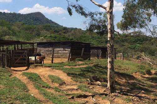 Imagem 11 de 30 de Casa Com 3 Dorms, Rancho Tucsons, Santana De Parnaíba - R$ 2.600.000,00, 250m² - Codigo: 224400 - V224400
