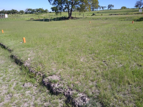 Imagen 4 de 13 de 720m2 A Orilla De El Lago Valsequillo
