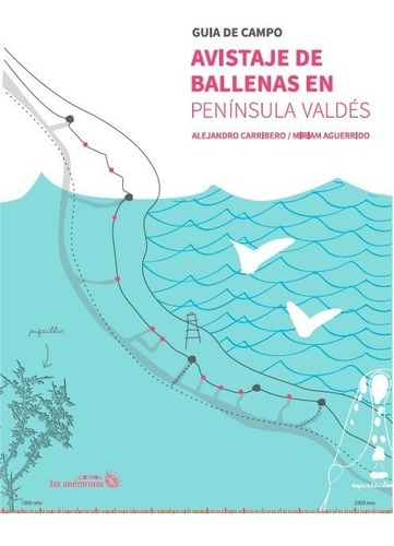 Guía De Campo: Avistaje De Ballenas En Península Valdés