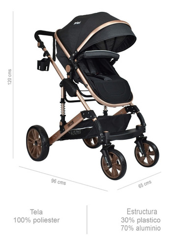 Coche Bebe Frezzio Priori Moises Color Negro