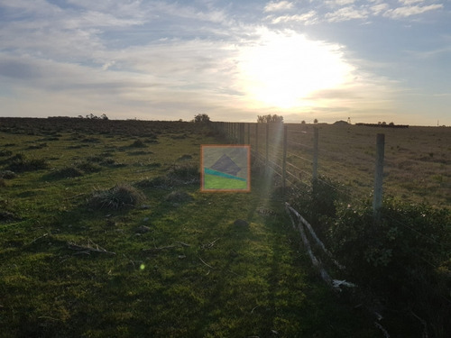 Imagen 11 de 14 de Campo 31 Hás Garzón Bajo