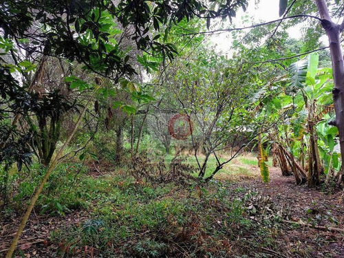 Chácara Residencial À Venda, Zona Rural, Jardinópolis. - Ch0034