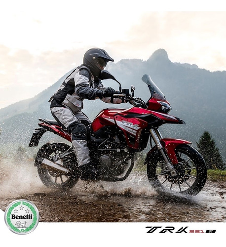 Imagen 6 de 21 de Benelli Trk 251 Abs