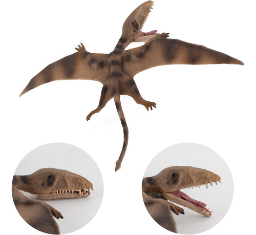 5 Pcs Dinosaur Modelo De Acción Figuras Simulación Realista