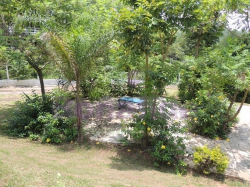 Imagem 2 de 20 de Chácara, Pau Arcado, Campo Limpo Paulista - Ch07848 - 69263438