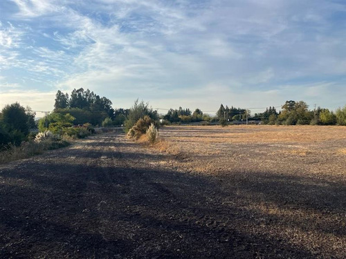 Imagen 3 de 8 de Agrícola En Venta En Curicó