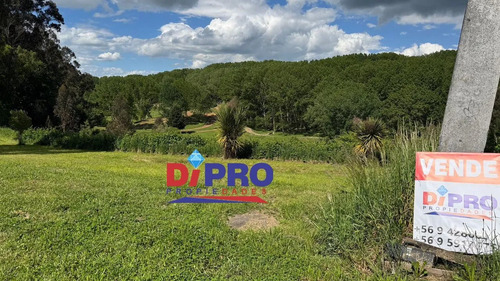 Se Vende Terreno Con Casa Excelente Ubicacion