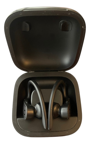 Audífonos Beats Powerbeats Pro Inalámbricos Negro Negro (Usado)