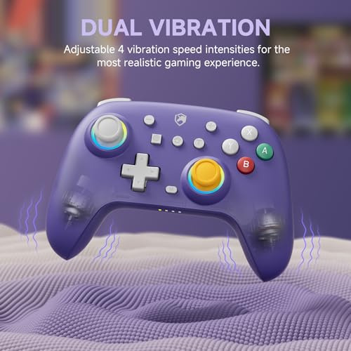 Echtpower Pack: Controlador Inalmbrico Para Nintendo Switch