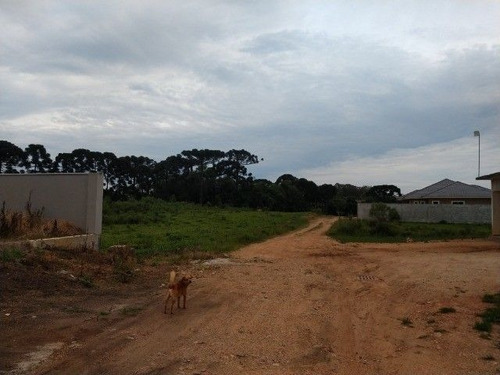 Imagem 9 de 16 de Excelente Terreno 840 M², R$380.000,00 - No Caminho Do Vinho - São José Dos Pinhais. - 99865