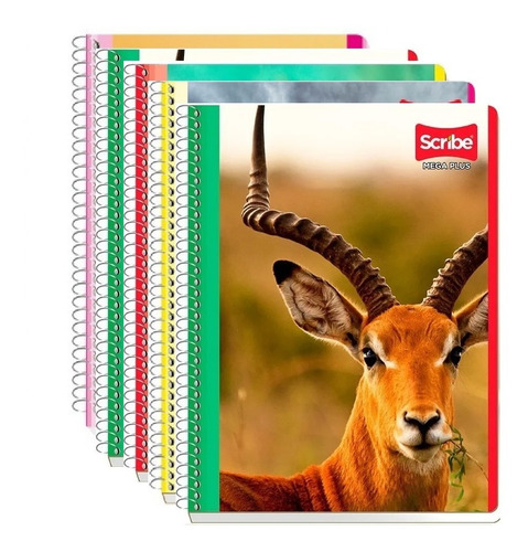 5 Cuadernos Profesional Scribe 100 Hojas Con Imagen