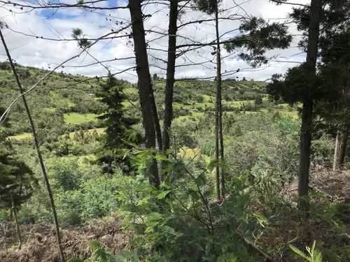 Magnífico Lote, Vereda Centro, Fúquene Cundinamarca