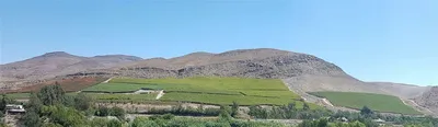Agrícola en venta