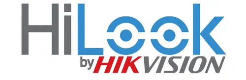 Cámara De Seguridad Domo 2 Mp Color Vu Hilook