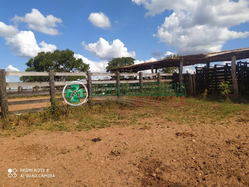 Imagem 2 de 14 de Fazenda Para Venda Em Barra Do Garças - Mt (cód. 192) Fazenda De Pecuária Em Toricueije Para Uso Em Pecuária.