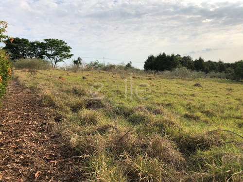 Chácara À Venda Em Sousas - Ch007087
