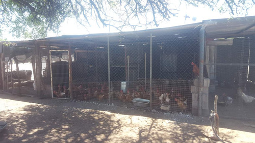Campo En Venta Villa Quilino - Campo Ganadero Con 2 Casas