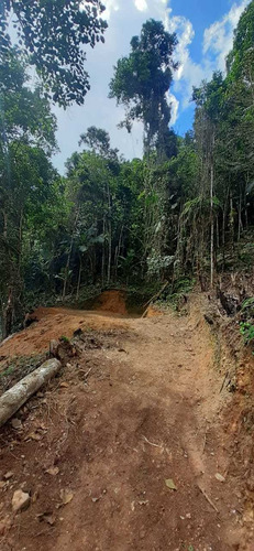 Imagem 13 de 14 de Juquitiba Terreno P Construir/platô/limpo/5000 Mts Ref 05137
