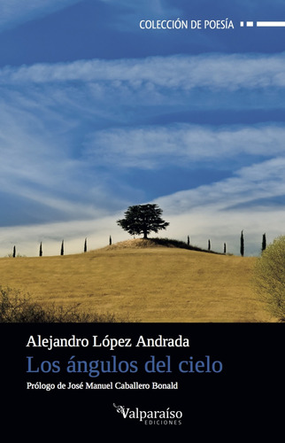 Libro - Los Ángulos Del Cielo 