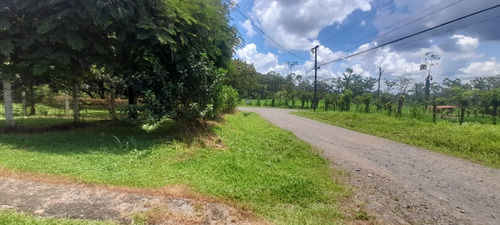 Imagen 11 de 13 de Vendo Casa En Portón Iberia Siquirres Limón