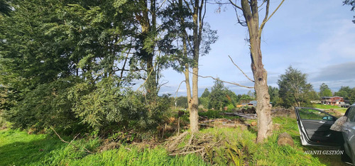 Venta Parcela Robles De Pilauco Osorno (127903)