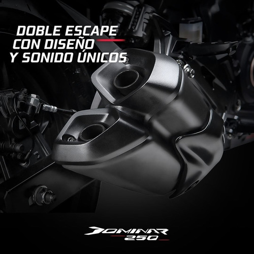Imagen 6 de 9 de Bajaj Dominar 250 - 0 Km - Dominar 250
