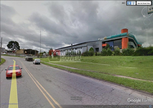 Imagem 4 de 27 de Área À Venda, Pinheirinho, Curitiba. - Pr - Te0099_gouv