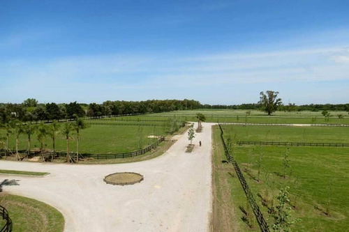 Imagen 12 de 29 de Oportunidad Venta De Amplio Lote En La Mejor Zona De Polo - Caspian Polo Chacras