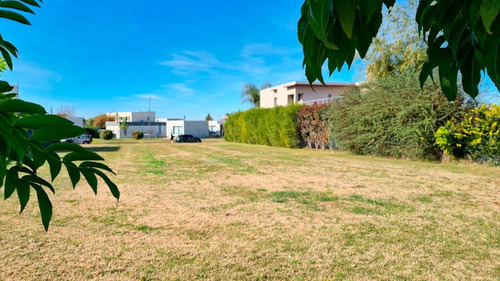 Imagen 5 de 12 de Terreno De 1100m2 En San Sebastian.