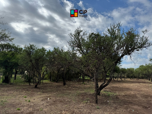 Venta De Lote Desmalezado En Carpintería