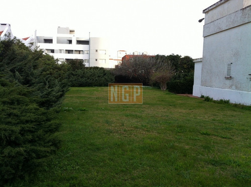 Imagen 4 de 12 de Chalet En La Peninsula Con Terreno De 1605 Mts2.