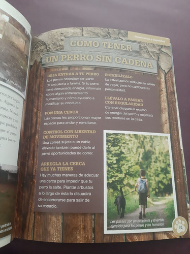 Sin Refugio Por Un Mundo Más Amable Con Los Perros (Usado)