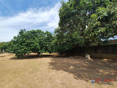 Imagem 3 de 5 de Terreno À Venda, 1000 M² Por R$ 230.000,00 - Bela Vista - Elias Fausto/sp - Te0787