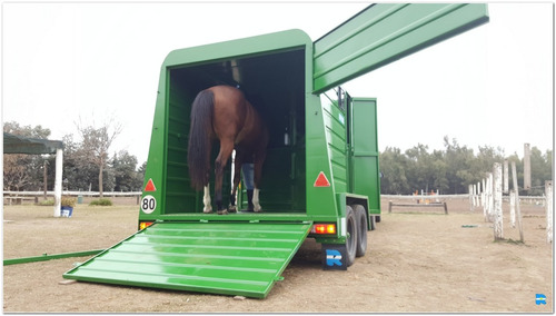 Imagen 11 de 14 de Jaula Para 2 Caballos Deluxe (ja1013)