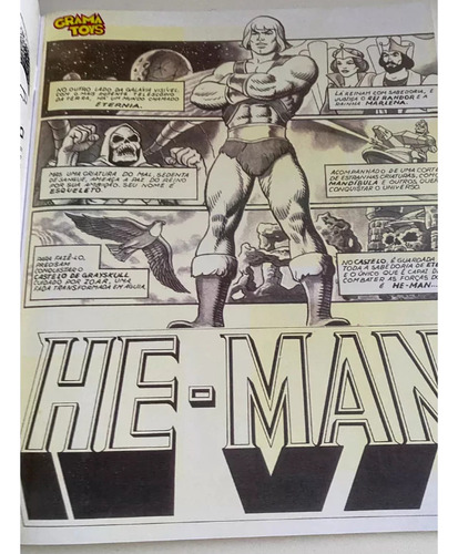 Álbum De Figurinhas He-man Panini 1983 Ofício Reprodução