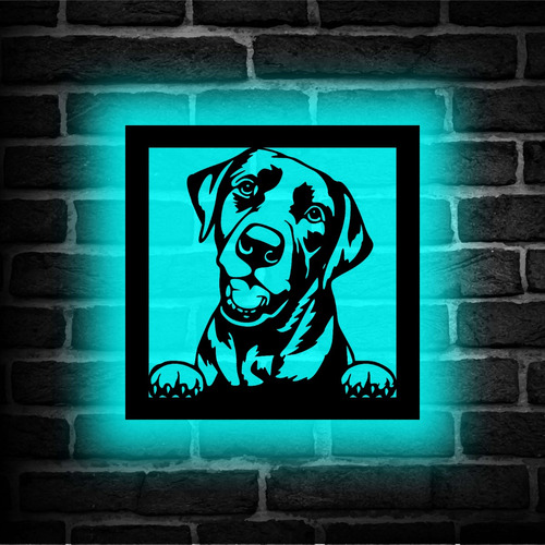 Cuadro Retroiluminado Led Perro Labrador 