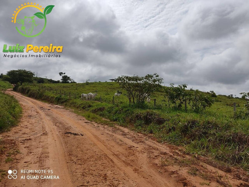 Imagem 15 de 15 de Fazenda À Venda Em Jacunda - Pa - 1.258,4 Hectares (dupla Aptidão) - 2032