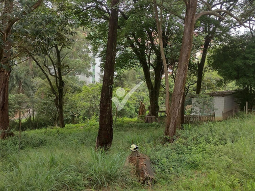 Imagem 9 de 14 de Terreno À Venda Em Itaquera - Te003728