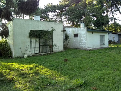 Imagen 5 de 13 de Casa Quinta Con Gran Parque. A 150 Mts De Ruta 88